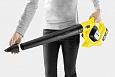 Воздуходувка Karcher LBL 2 Battery Set